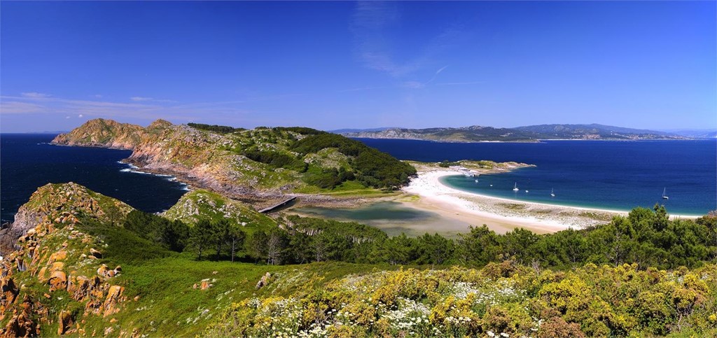 8 razones por las que visitar las Islas Cíes este verano