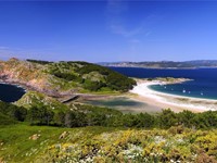 8 razones por las que visitar las Islas Cíes este verano