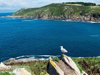 Última oportunidad para visitar las Islas Ons